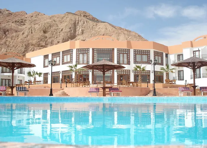 Miami Dahab