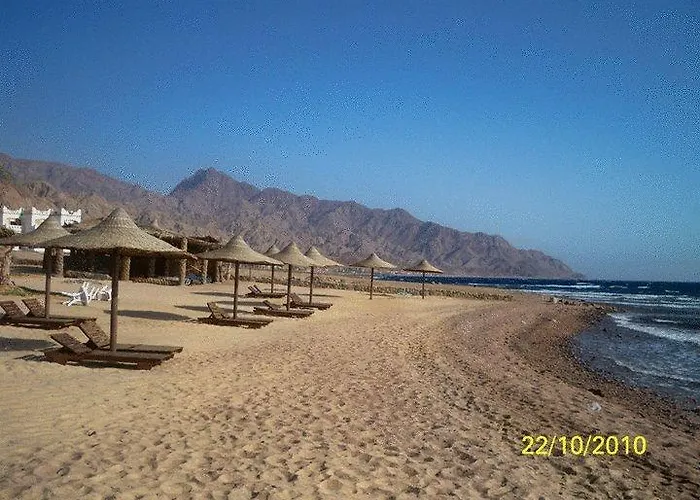 Miami Dahab
